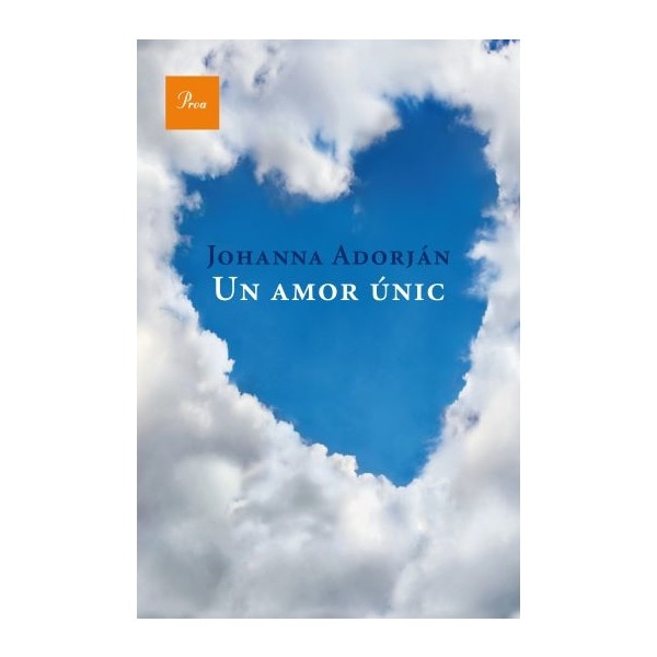 Un amor únic (Capa mole com abas) 1