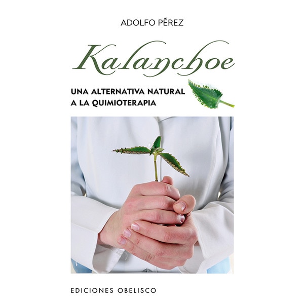 Kalanchoe 1