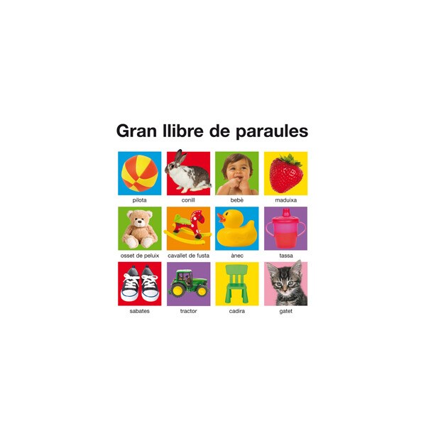 Gran llibre de paraules 1