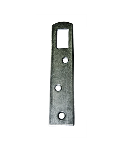 2 pzas. placa colgador M.PASCUAL - 61101 - 80 MM Zinc-1