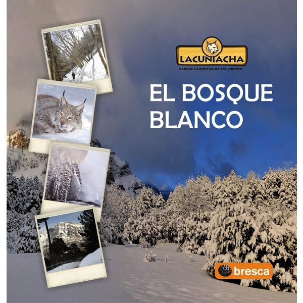 EL BOSQUE BLANCO 1