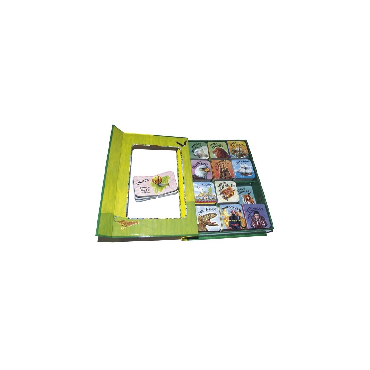 Minilibros (12 libritos) (Capa mole) 2