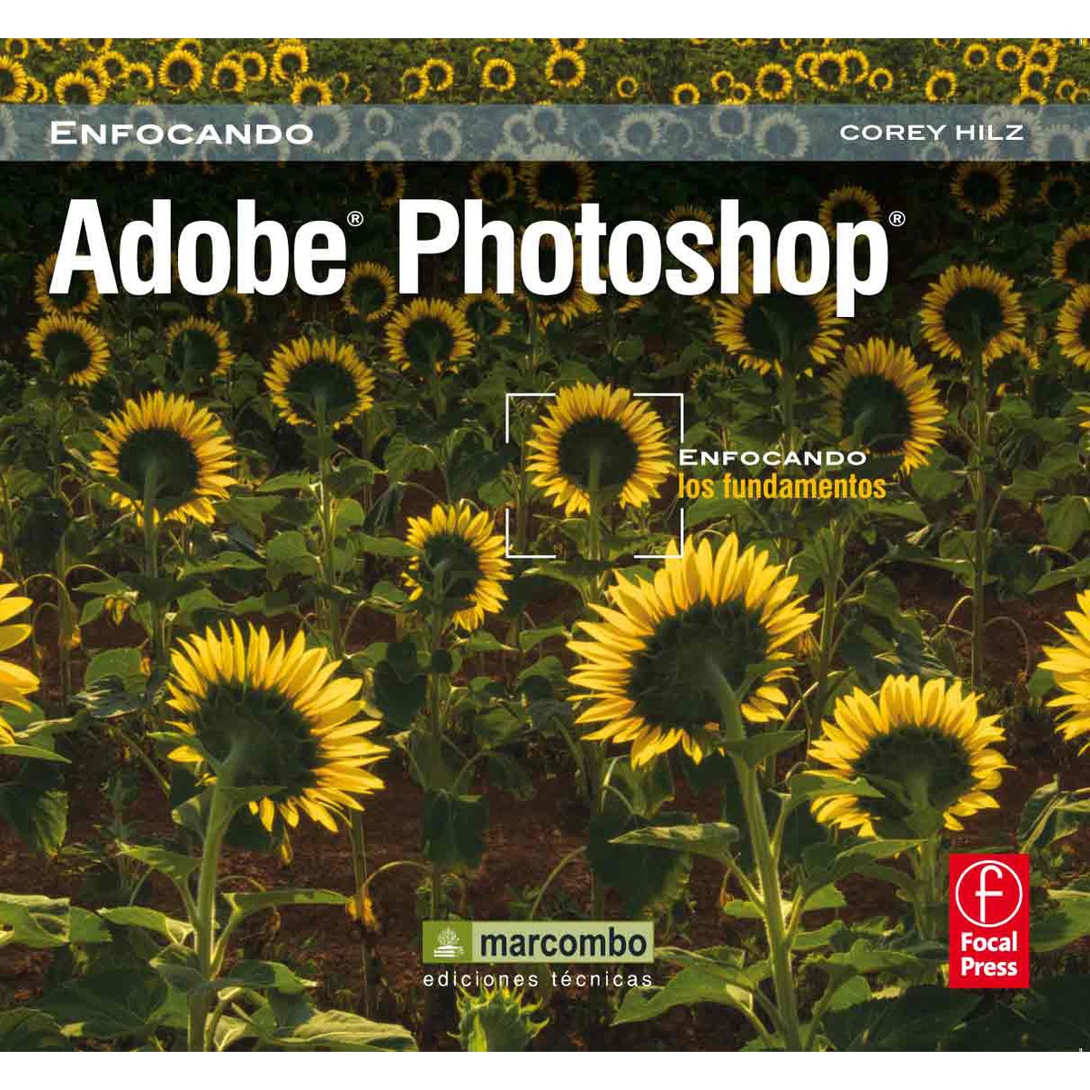 Adobe Photoshop: Enfocando los Fundamentos (Capa mole) 1