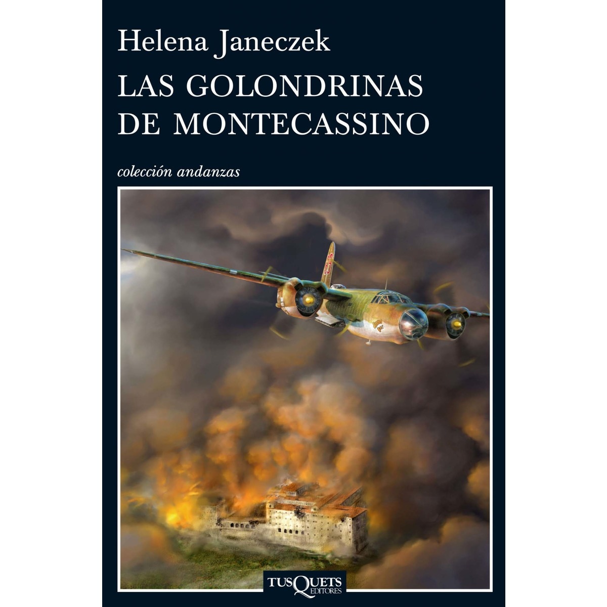 Imagen 0 de Las golondrinas de Montecassino  (Tapa blanda Tapa blanda con solapas)