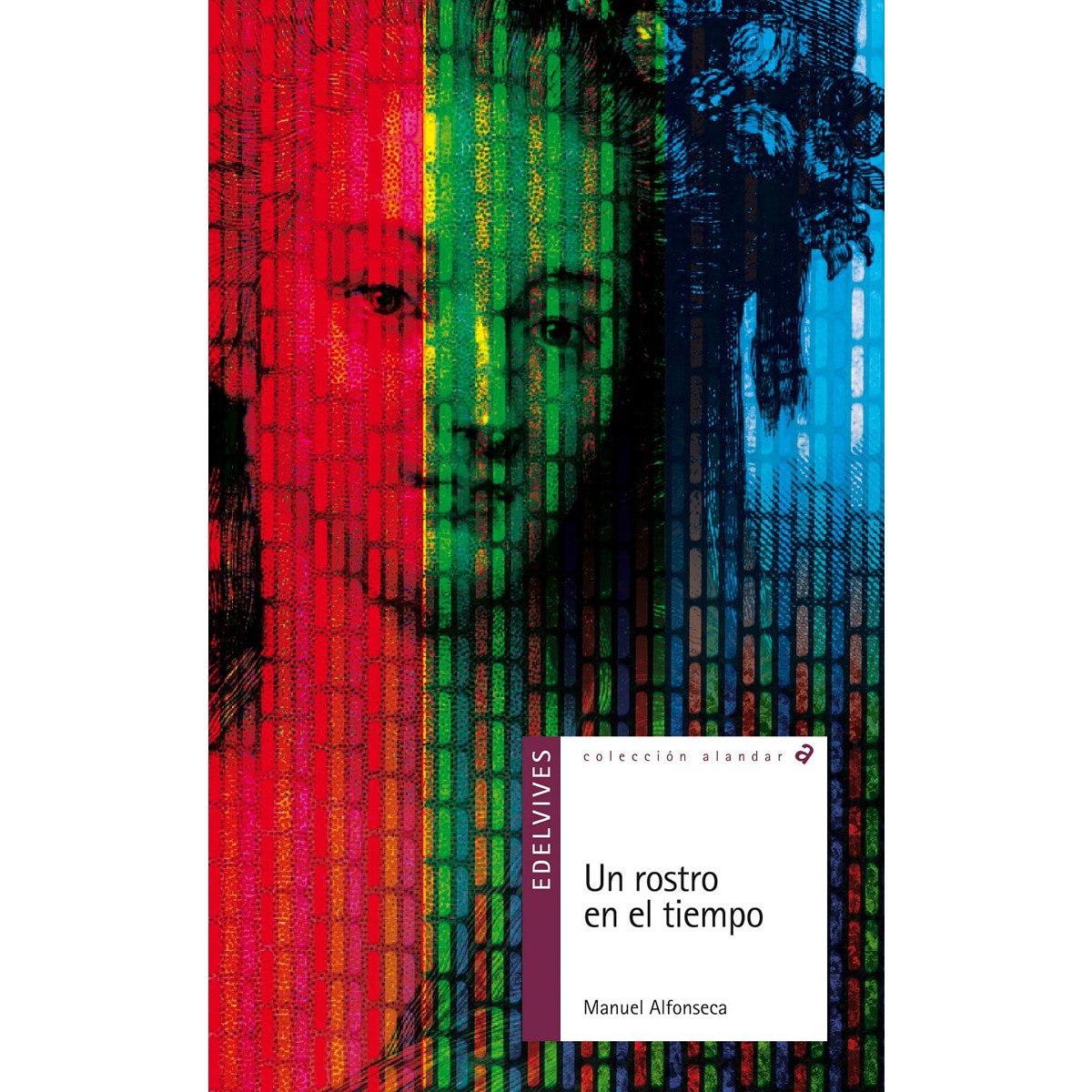 Un rostro en el tiempo(Tapa blanda) 1