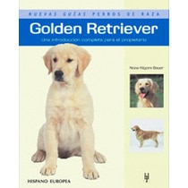 Golden Retriever (Capa mole) 1
