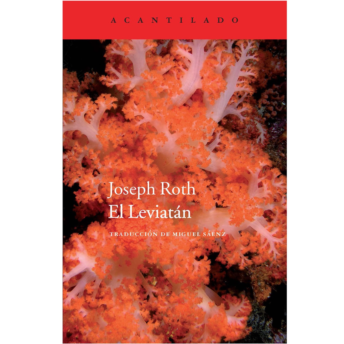 El Leviatán (Capa mole) 1