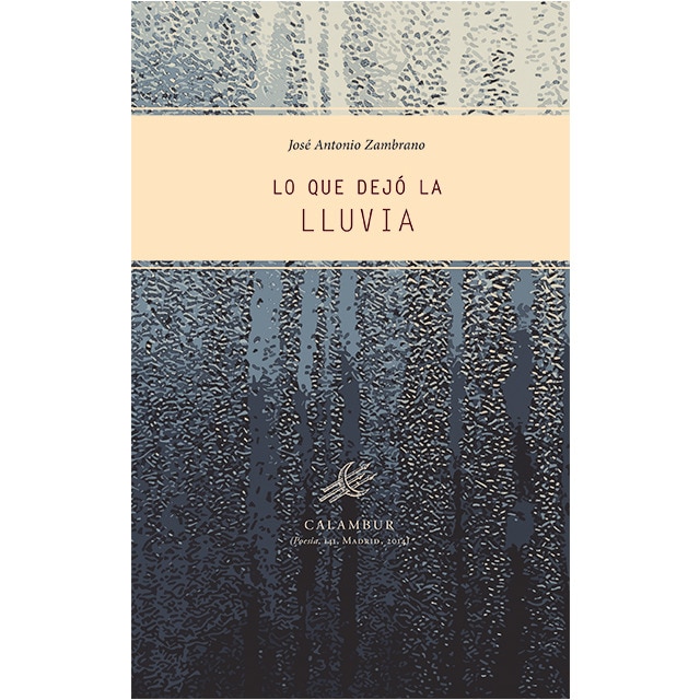 Lo Que Dejo La Lluvia 1