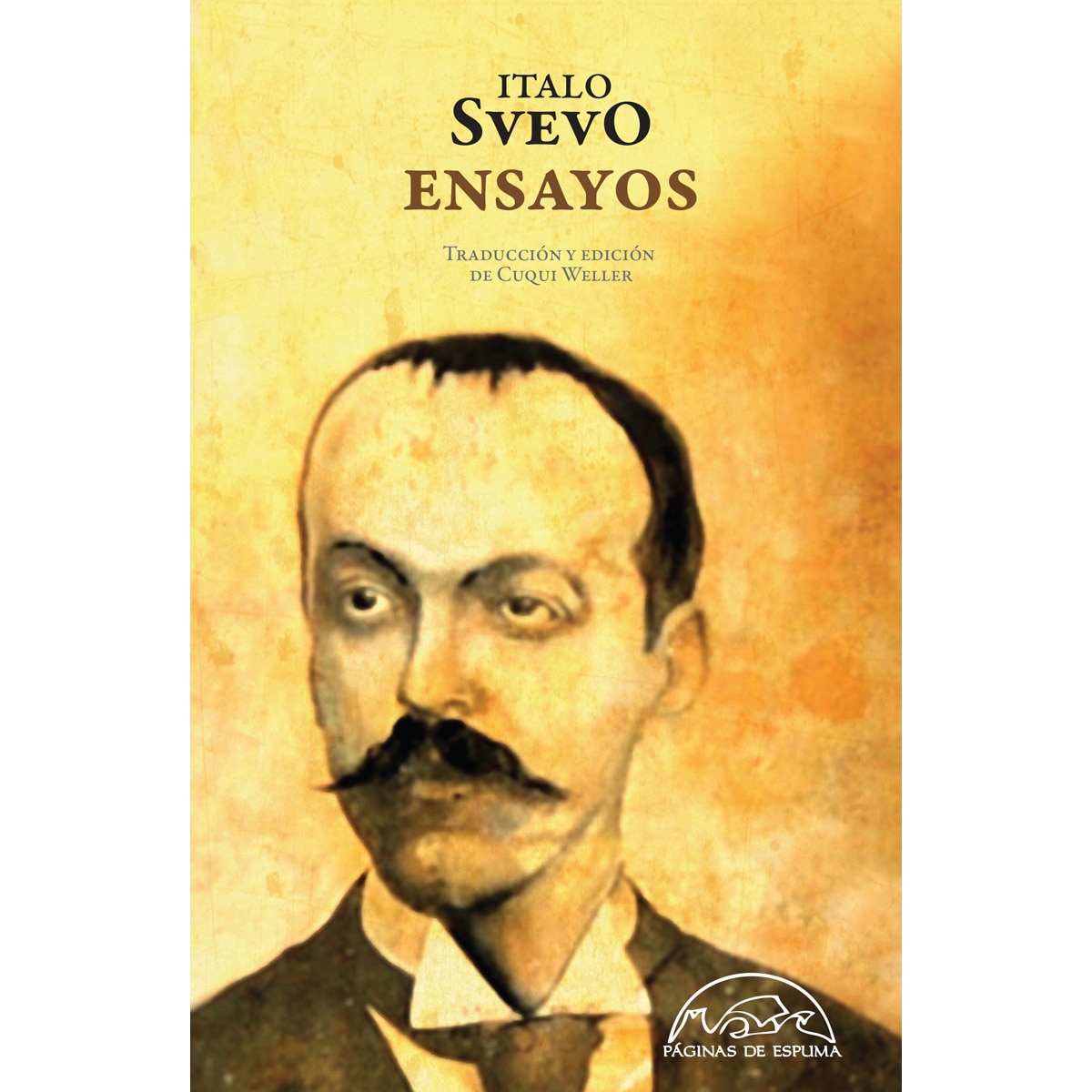 Ensayos 1