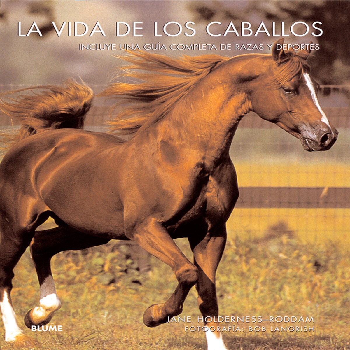 La vida de los caballos (Capa mole com abas) 1