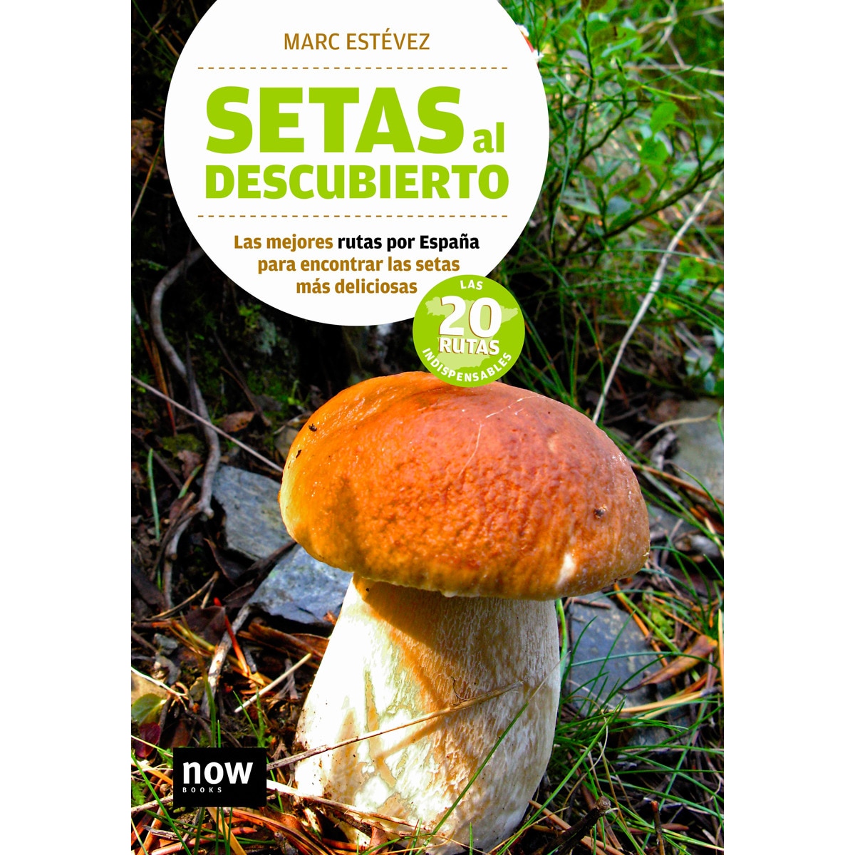 Setas al descubierto (Capa mole com abas) 1