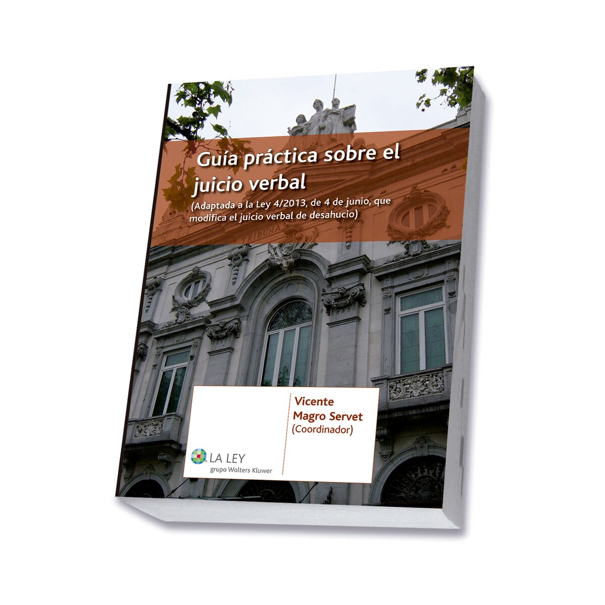 Imagem 0 de Guía práctica sobre el juicio verbal (Capa mole com abas)