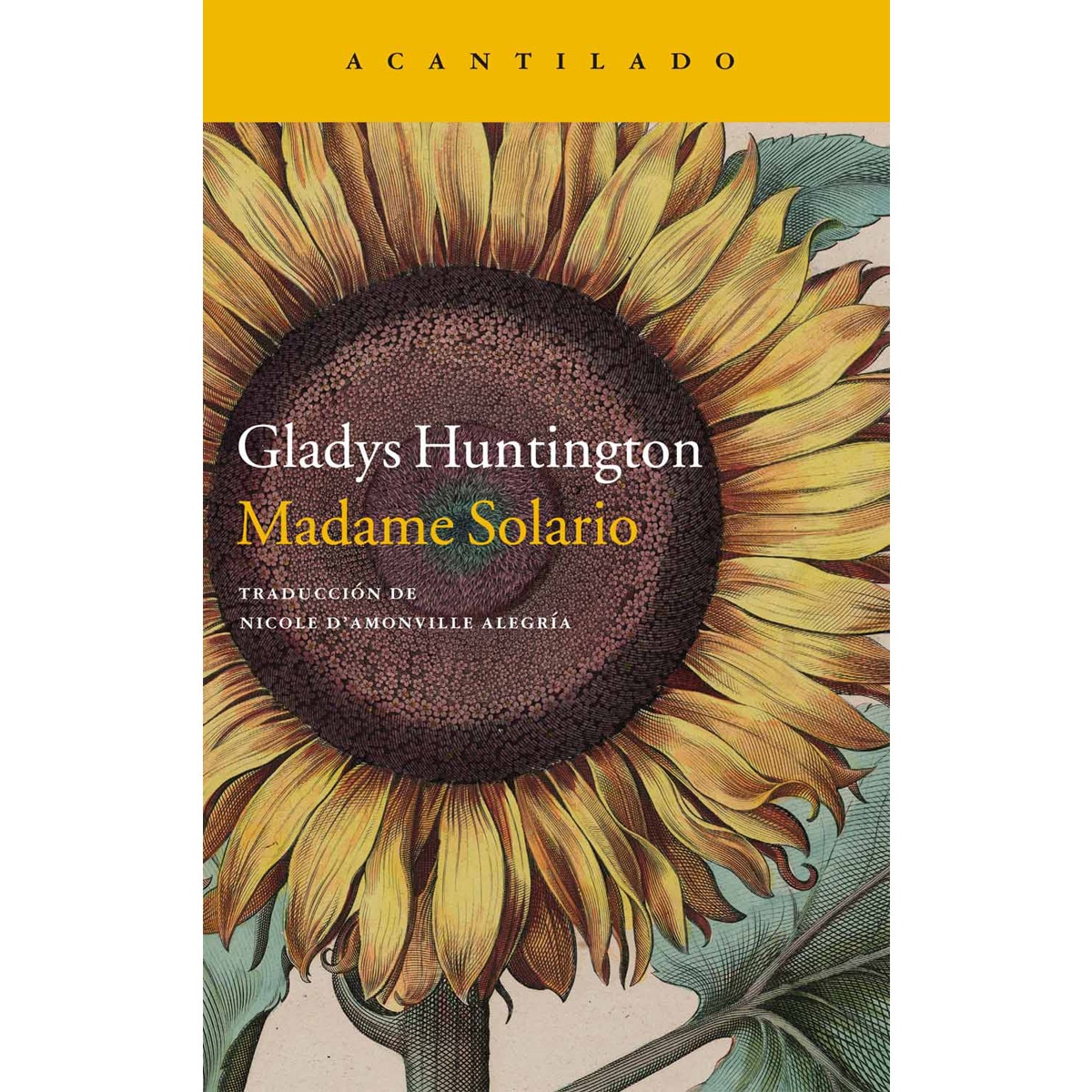 Madame solario 1