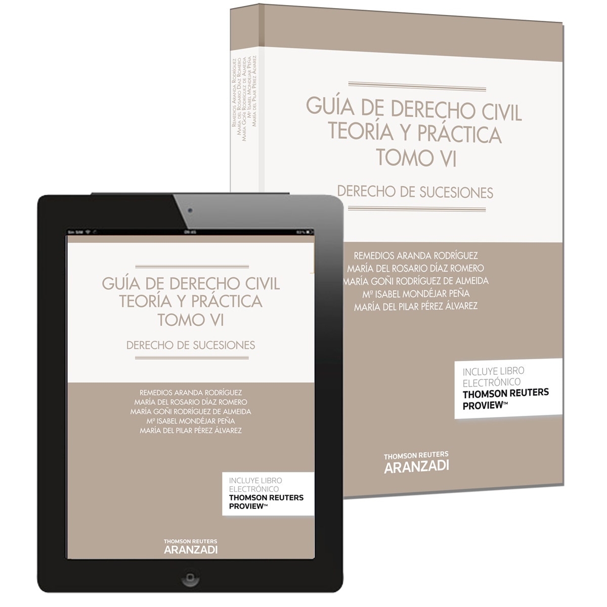 Guía de Derecho Civil. Teoría y práctica (Tomo VI) (Papel + e-book): Derecho de sucesiones 1