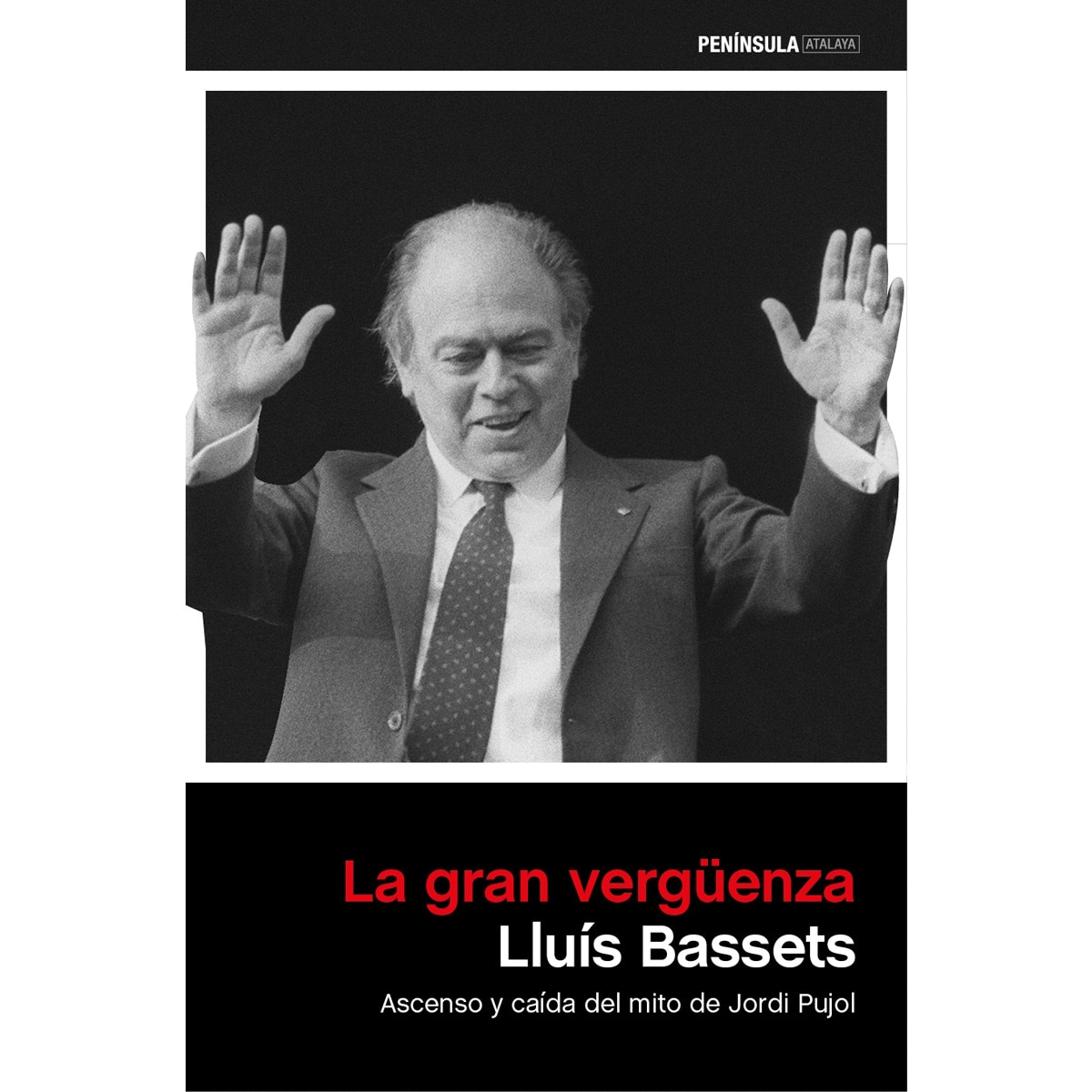 Imagem 0 de La gran vergüenza(Tapa blanda)