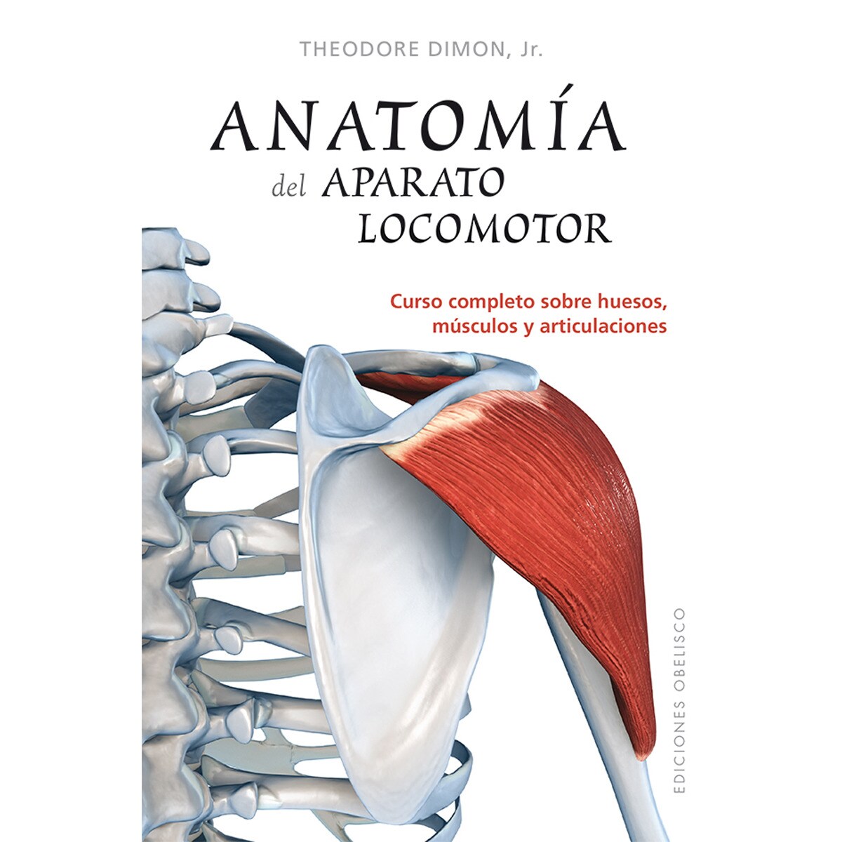 Anatomía del aparato locomotor (Capa mole com abas) 1