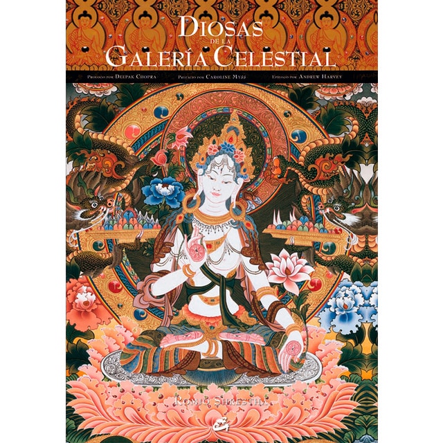 Imagem 0 de Budas de la galería celestial(Tapa dura)