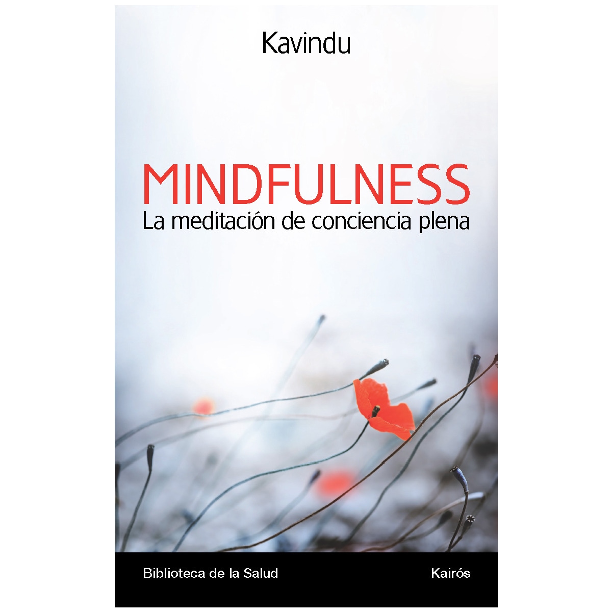 Imagem 0 de Mindfulness. La Meditación De Conciencia Plena