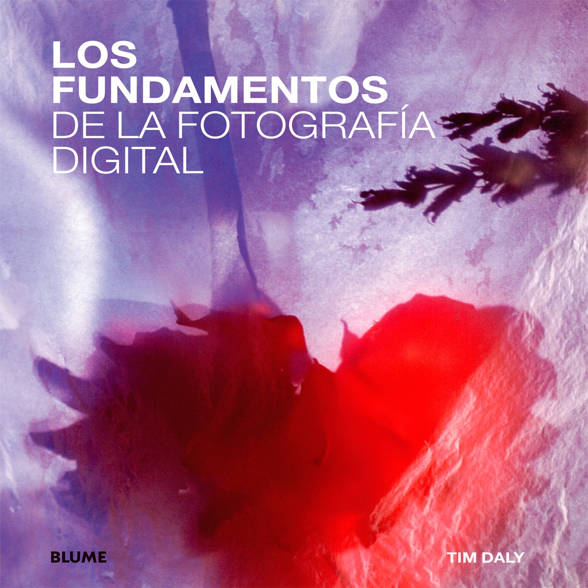 Imagem 0 de Fundamentos de la fotograf¡a digital (Capa mole com abas)