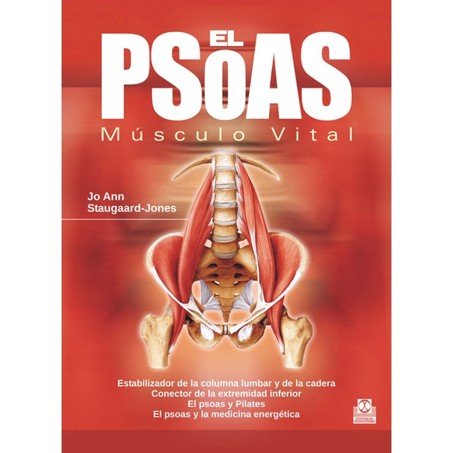 El psoas. Músculo Vital (Capa mole) 1