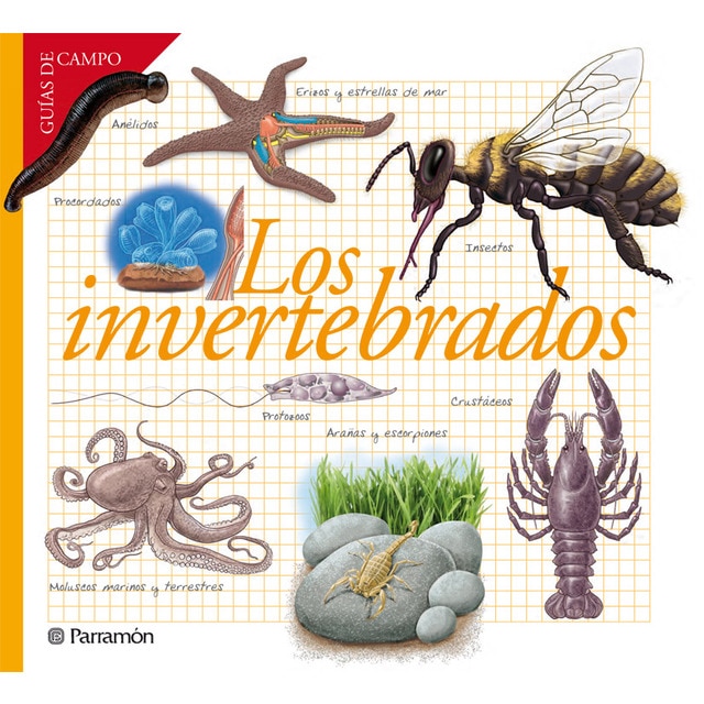 Imagem 0 de Los Invertebrados