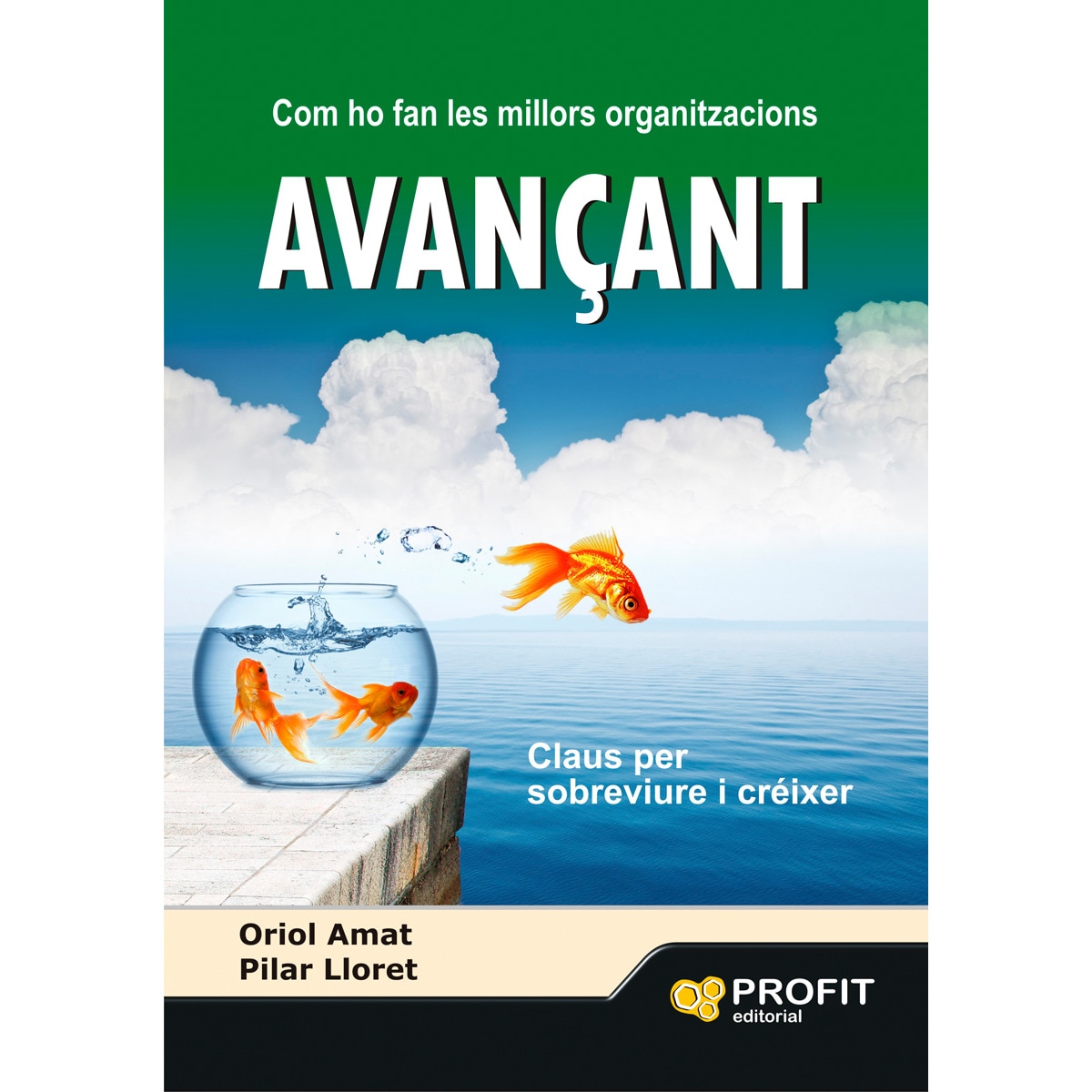Avançant 1
