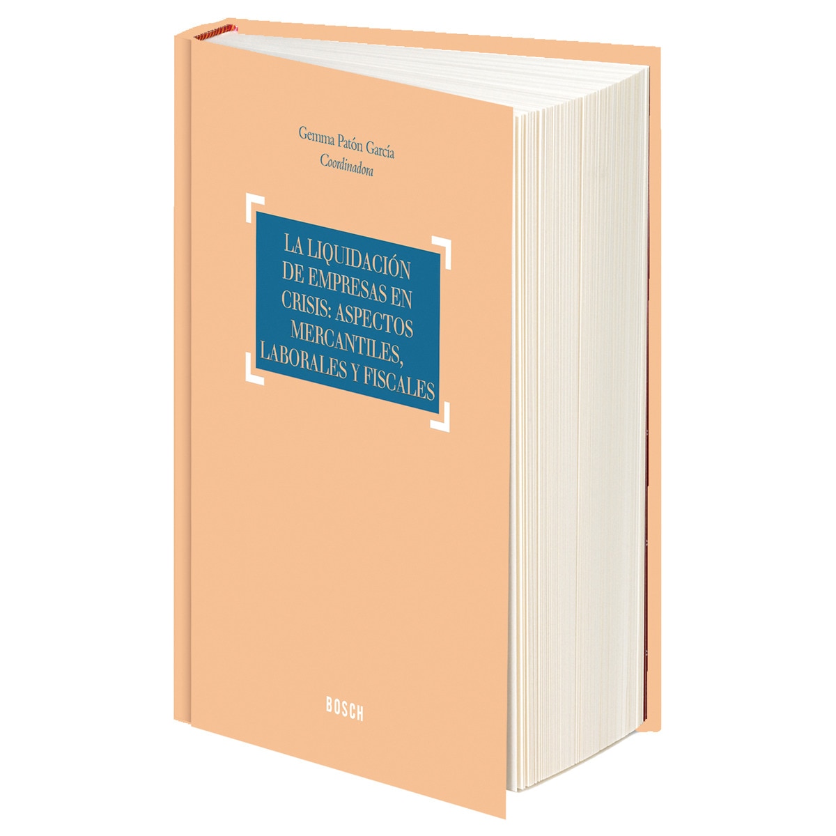 Imagem 0 de La Liquidación De Empresas En Crisis: Aspectos Mercantiles. Laborales Y Fiscales