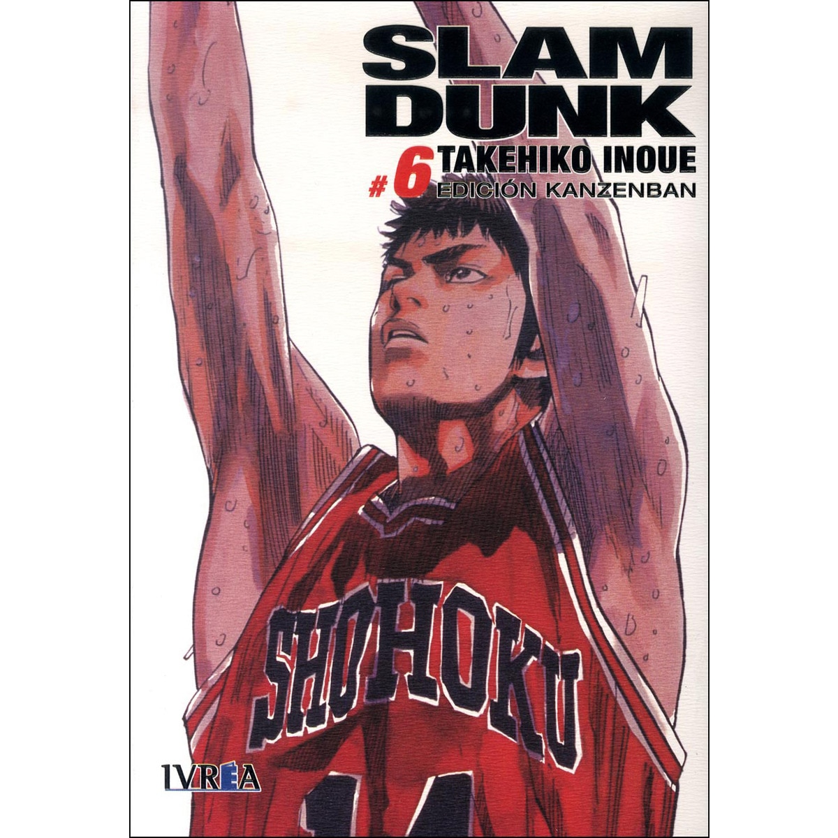 Imagem 0 de Slam dunk edicion kanzenban 06 (Tapa blanda)