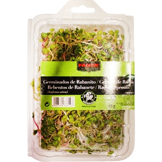 brotes de rabanito japonés tarrina 95 g - Fanya