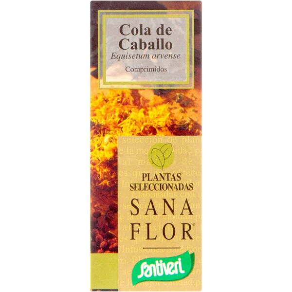 Te De Cola De Caballo En Ingles