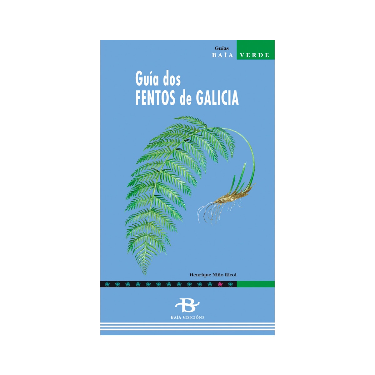 Guía dos fentos de Galicia 1