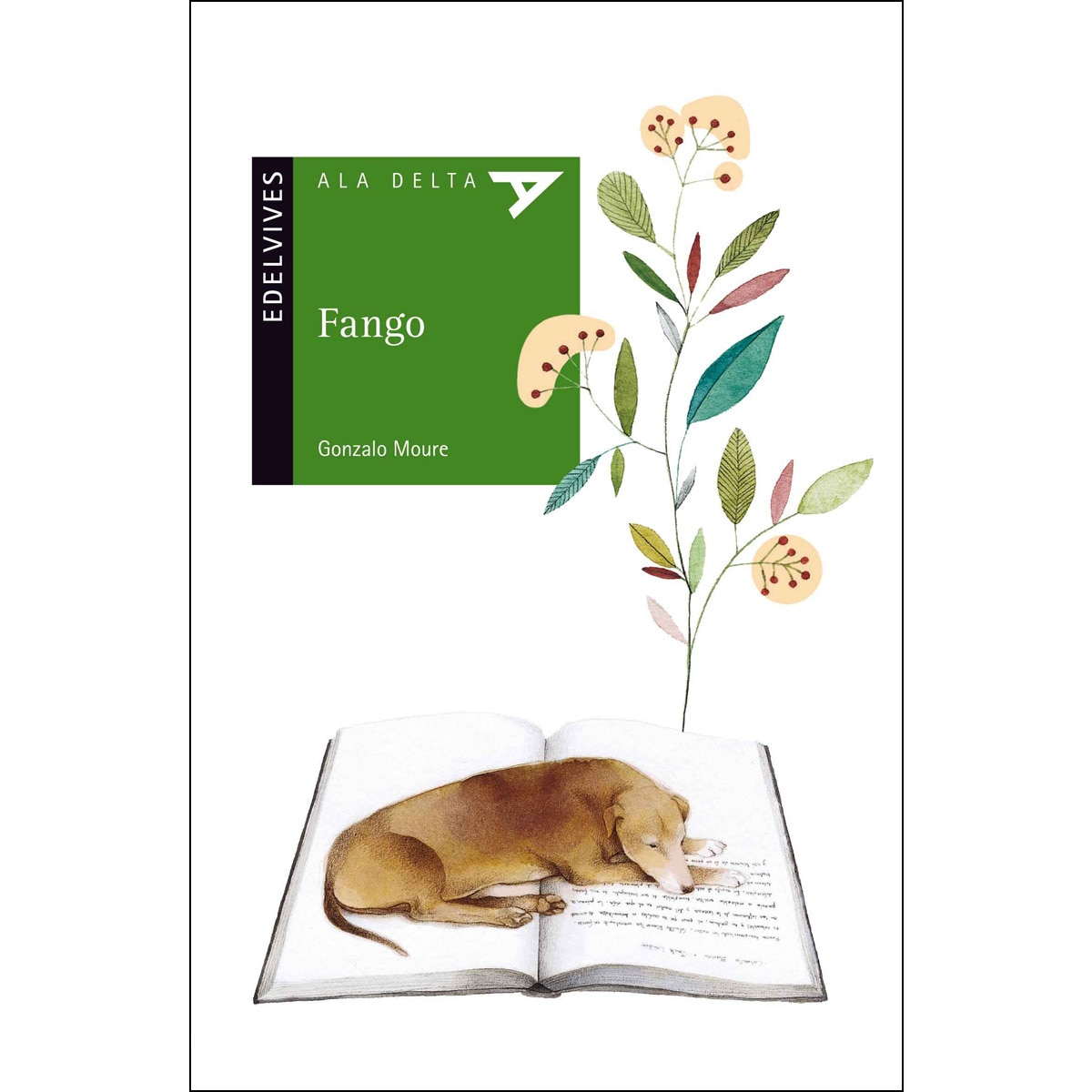 Fango(Tapa blanda) 1