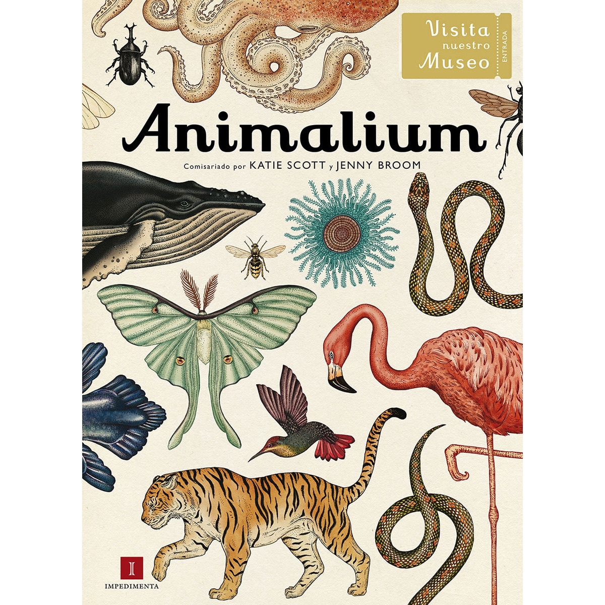 Animalium 1