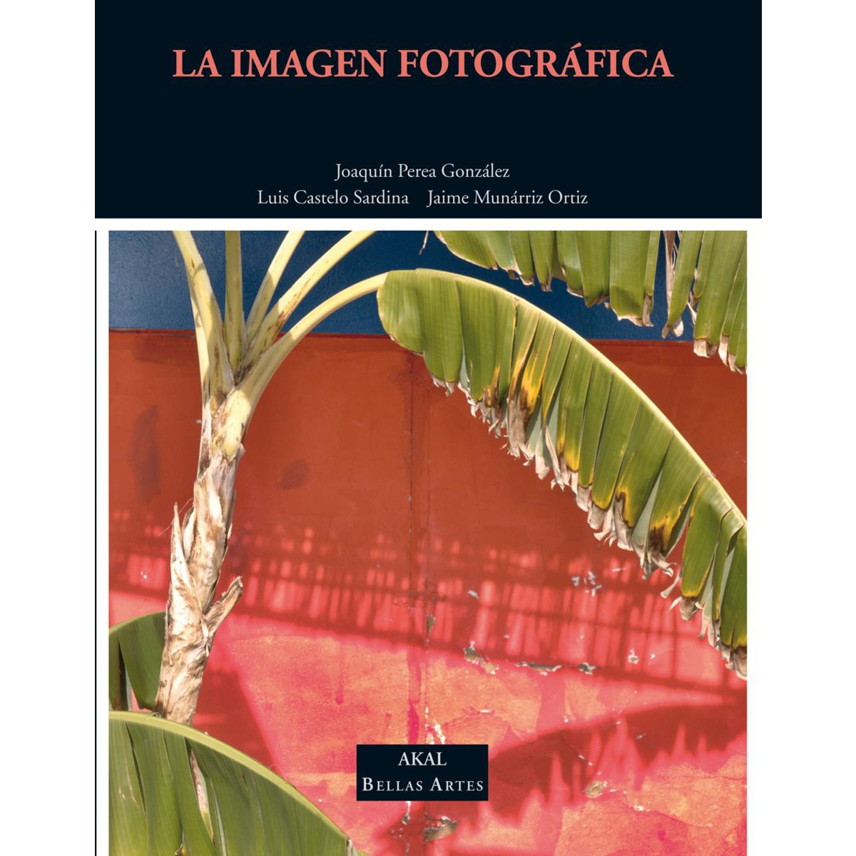 La imagen fotográfica 1