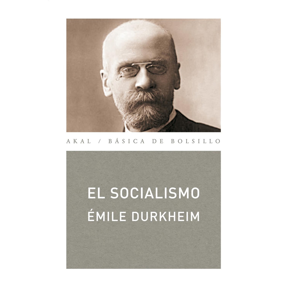 Imagen 0 de El socialismo
