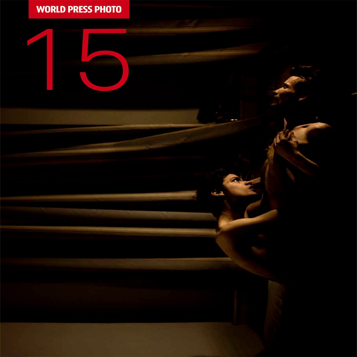 World press photo 15(Tapa blanda) 1