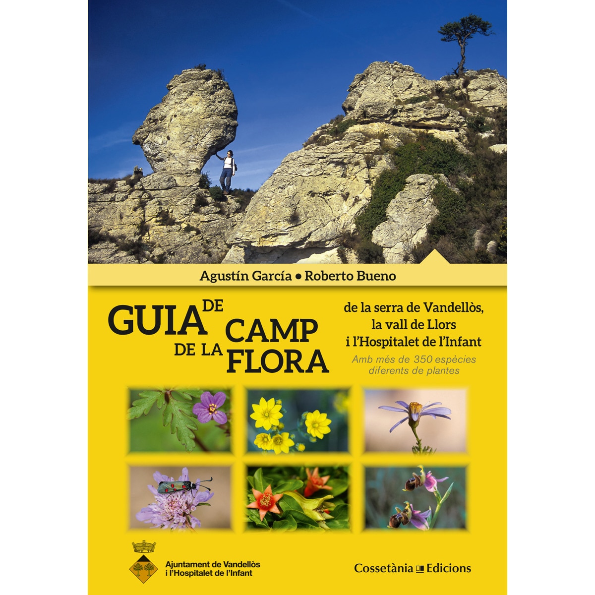 Imagem 0 de Guia de camp de la flora: de la serra de Vandellòs, la vall de Llors i l'Hospitalet de l'Infant. Amb més de 350 espècies diferents de pla (Capa mole)