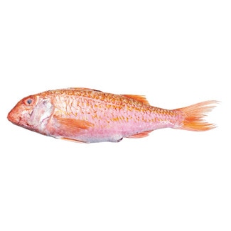 Salmonete Peso Aproximado por unidade 250 g