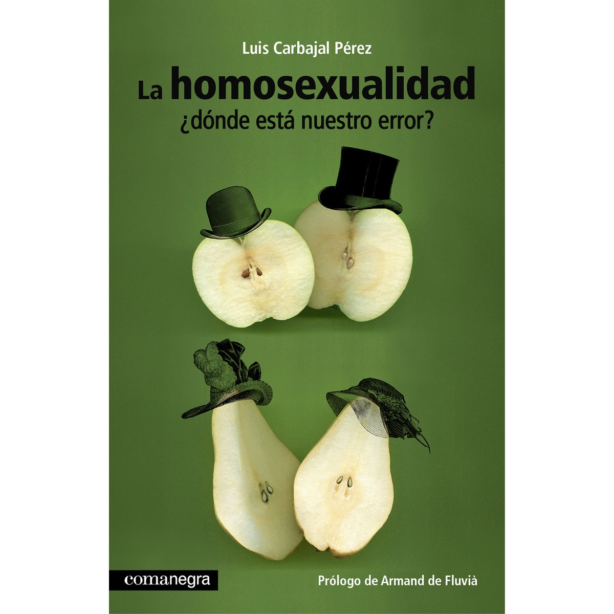 La Homosexualidad ¿Dónde Está Nuestro Error? 1