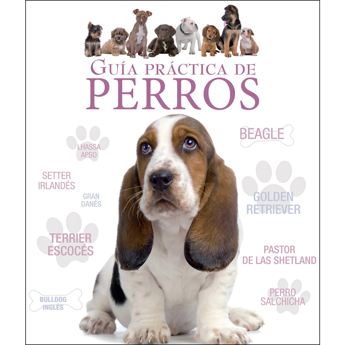 Guía Práctica De Perros 1