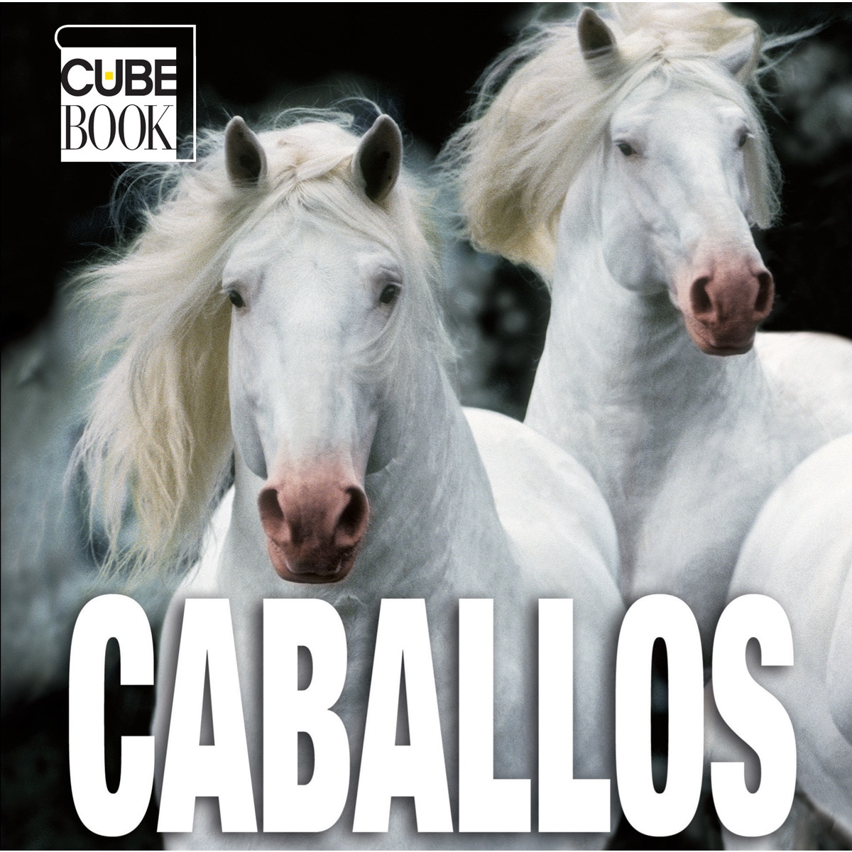 Caballos Ne Cube Book 1