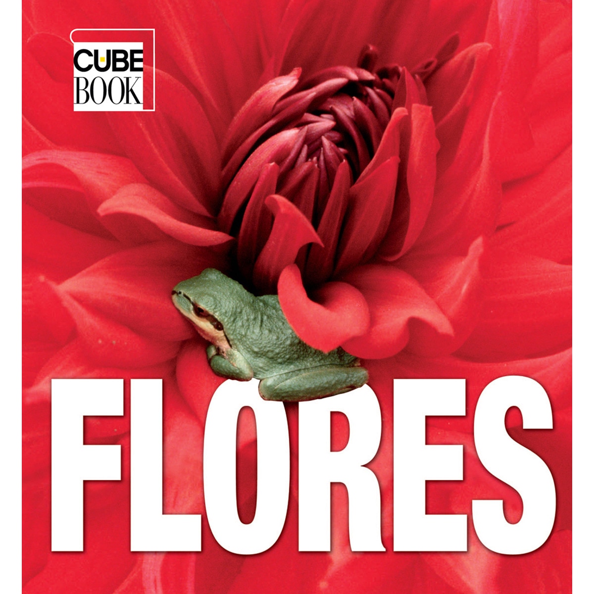 Flores 1