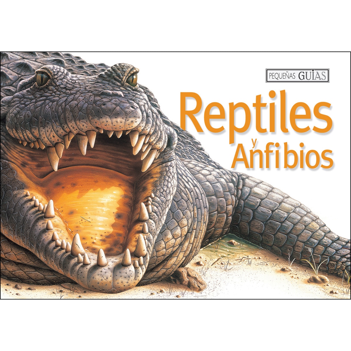 Reptiles Y Anfibios 1