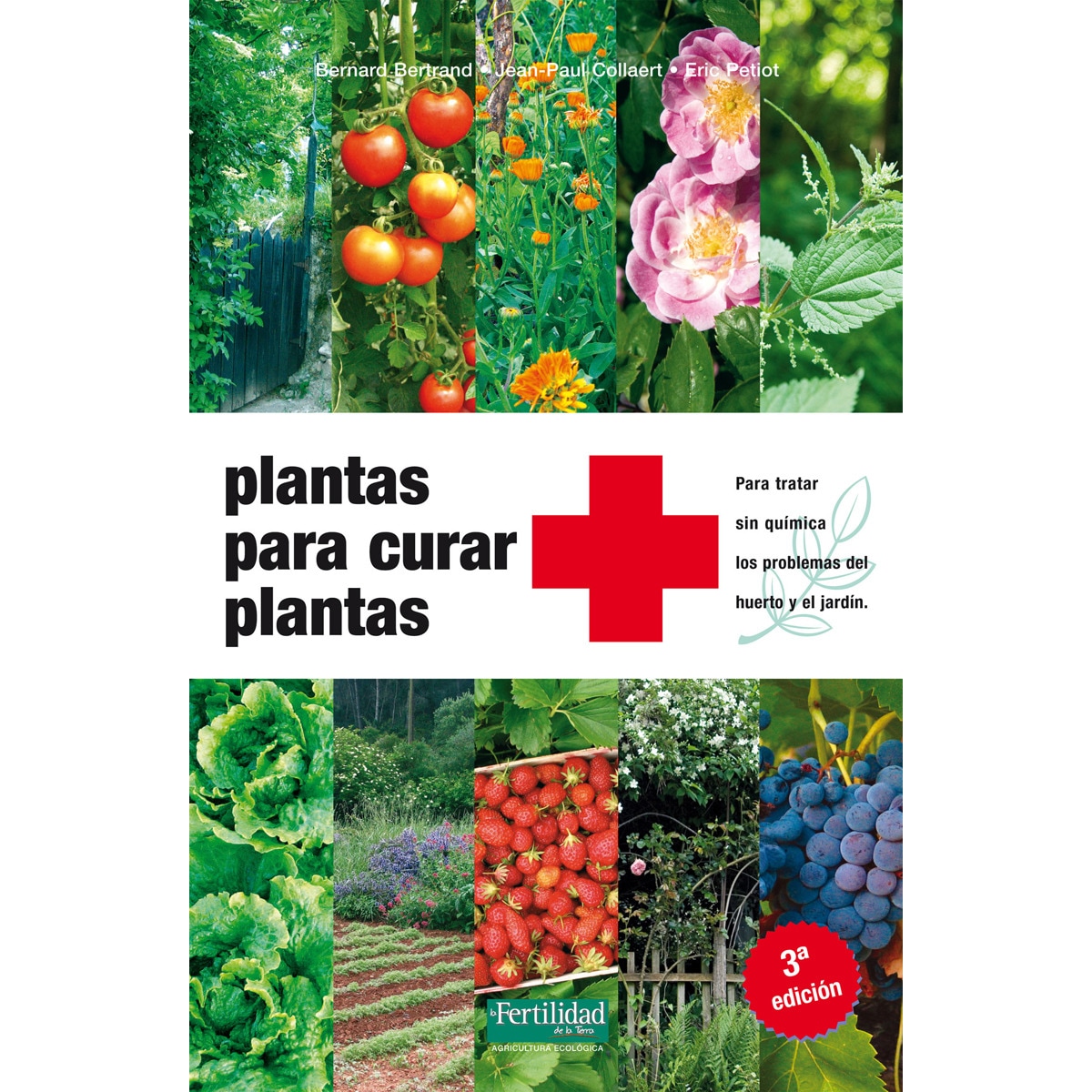 Imagem 0 de Plantas para curar plantas: Para tratar sin química los problemas del huerto y el jardín(Tapa blanda)