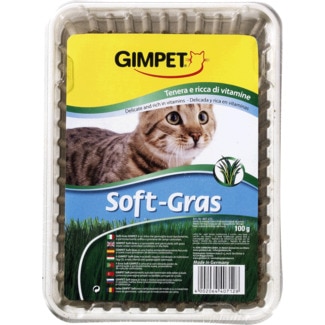 Erva para Gato Soft-Gras embalagem 100 g - Gimpet