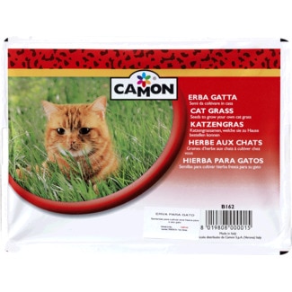Erva para Gato embalagem 1 unidade - Camon