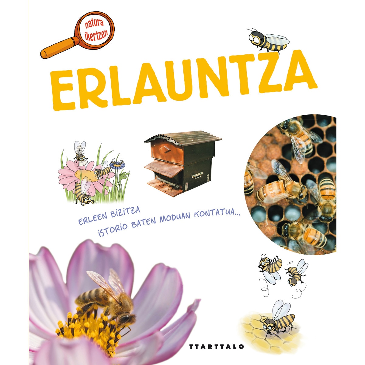Erlauntza 1