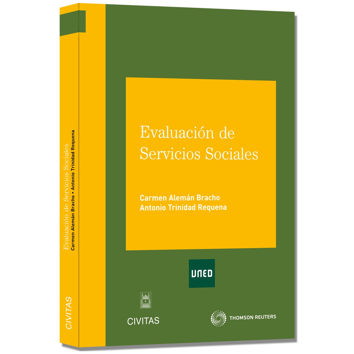Evaluación de Servicios Sociales (Capa mole) 1