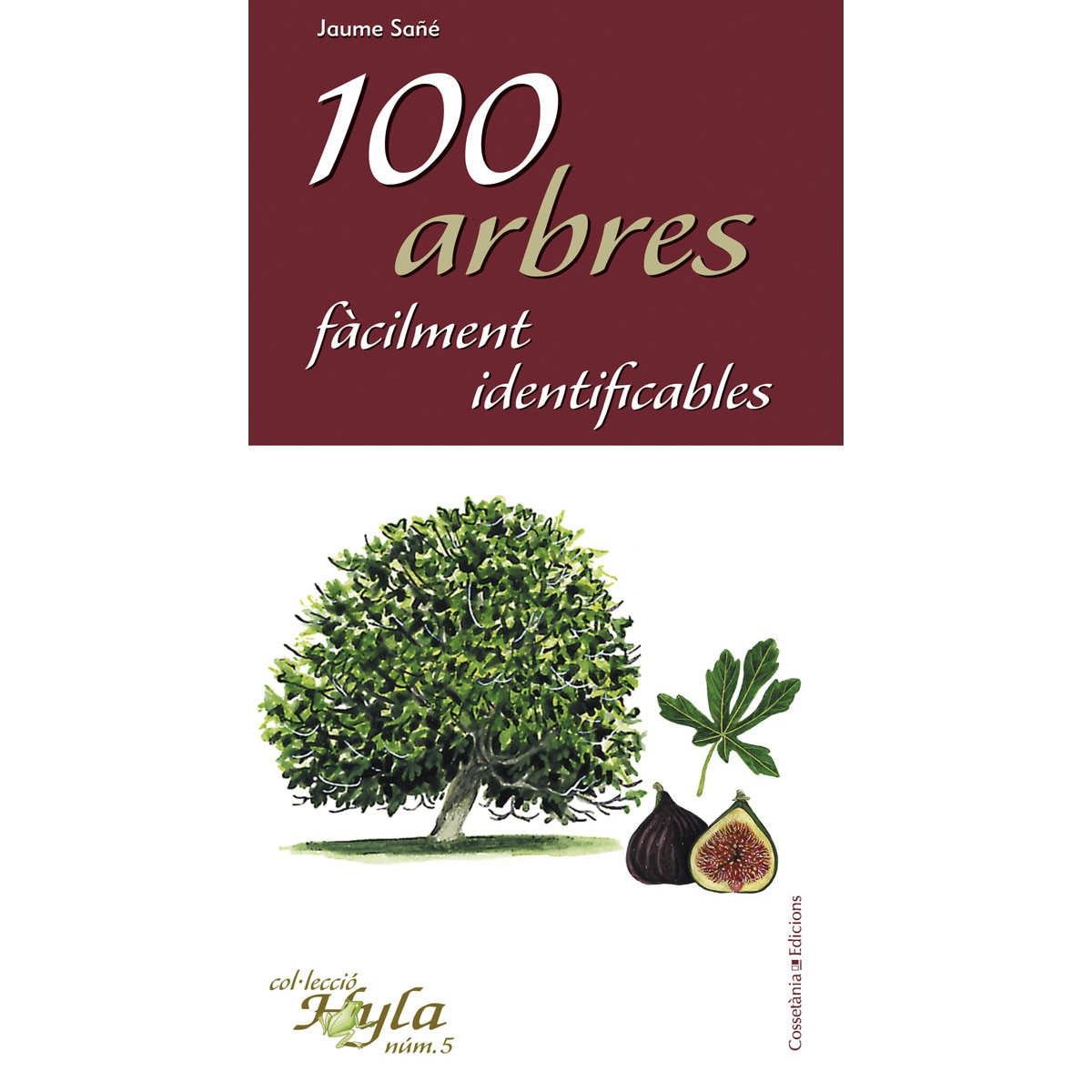 Imagem 0 de 100 bolets fàcilment identificables(Tapa blanda)