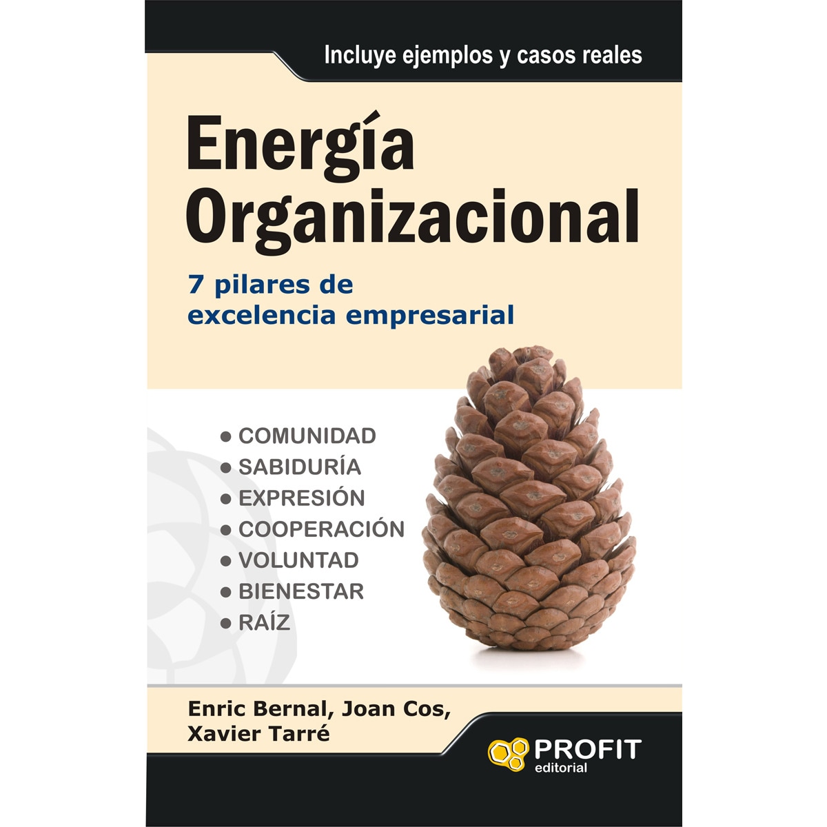 Energía Organizacional 1